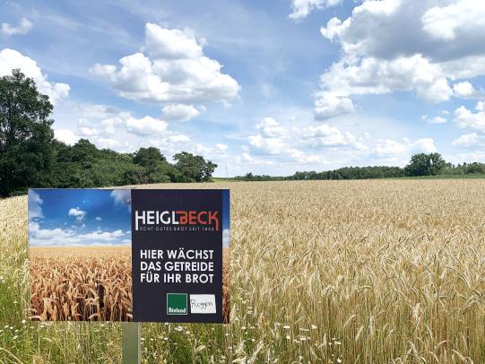 Roggenfeld Steinerskirchen